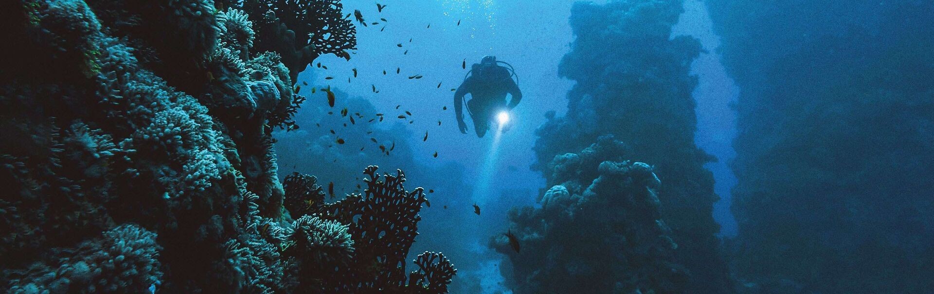 Diver over the coral reef at Somabay